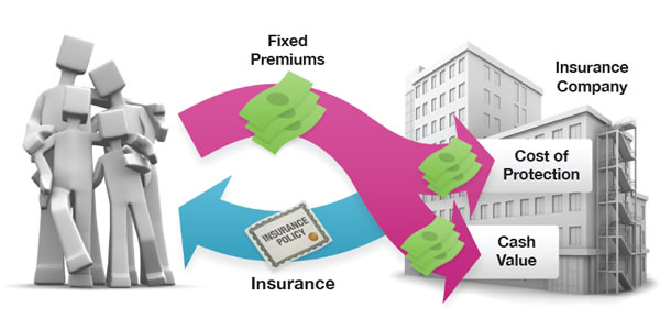 life insurance